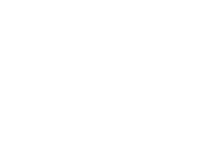 logo DM Performance